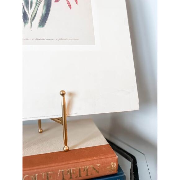 Unframed Vintage Gladiolus Botanical Print – 14x18‎ - Picture 3 of 4